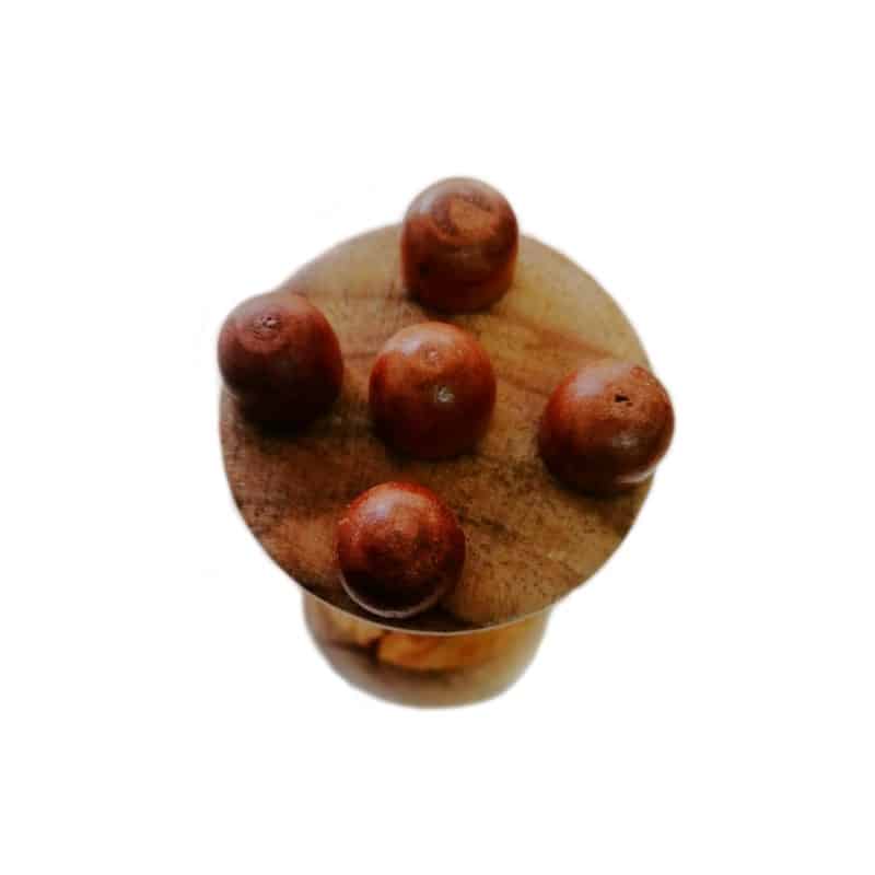 copa-sueca-con-champinnon-incluido-vista-posterior-ventaskine.jpg